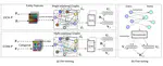 Graph neural pre-training for enhancing recommendations using side information