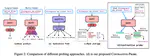 Rewire-then-Probe: A Contrastive Recipe for Probing Biomedical Knowledge of Pre-trained Language Models